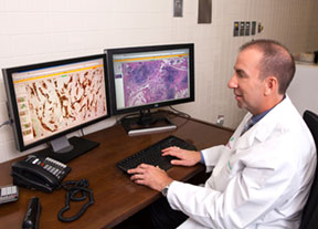 Dr. Smith analyzing a case using whole-slide digital imaging.