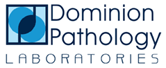 dominionlogo