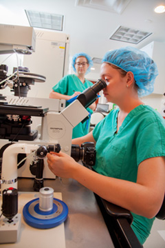 On-site embryologist Caitlin Toler analyzes embryos before incubation and transfer.